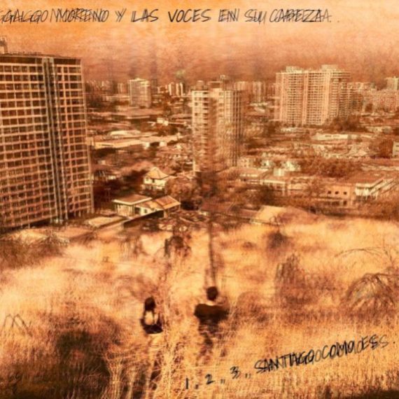 Foto de ><noscript><img src=